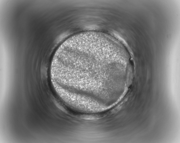 X0000084570106200703161730
