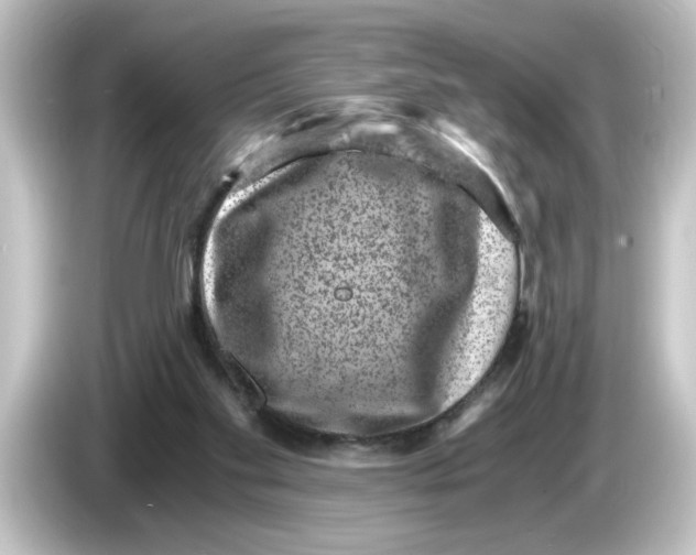 X0000084570109200703161730
