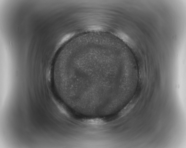 X0000084570112200703161730