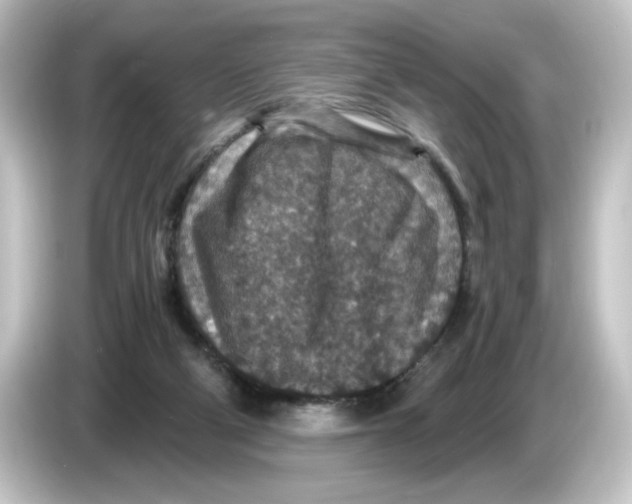 X0000084570114200703161729