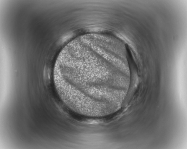 X0000084570115200703161729