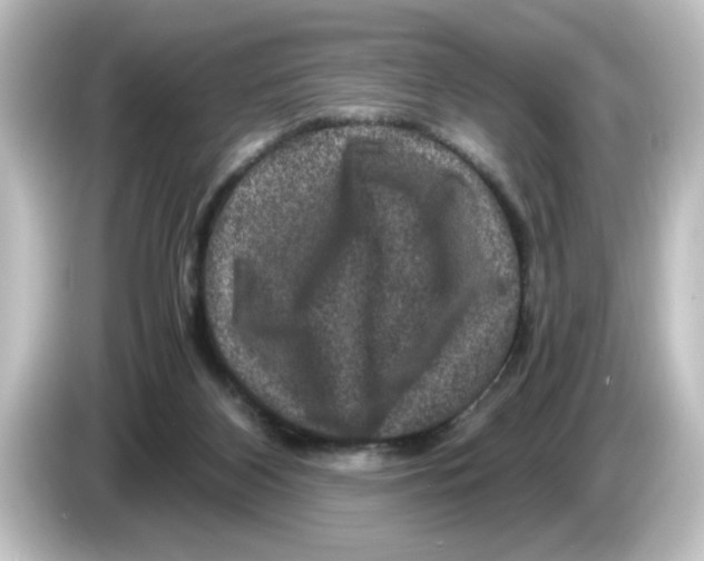 X0000084570116200703161729