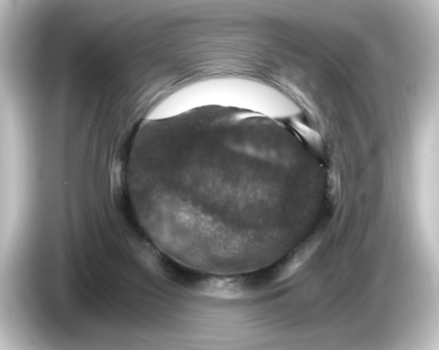 X0000084570117200703161729
