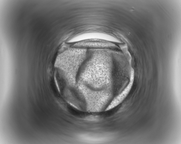 X0000084570119200703161729
