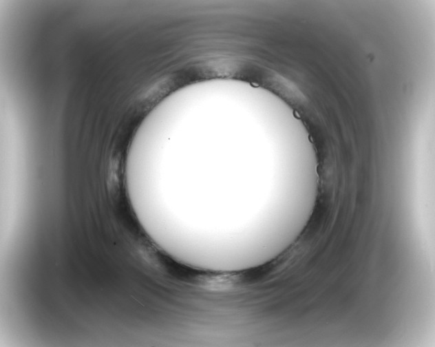 X0000084570122200703161729