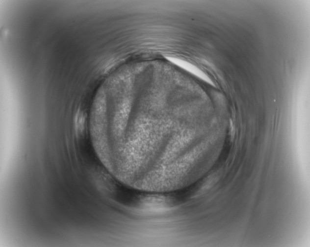 X0000084570123200703161729