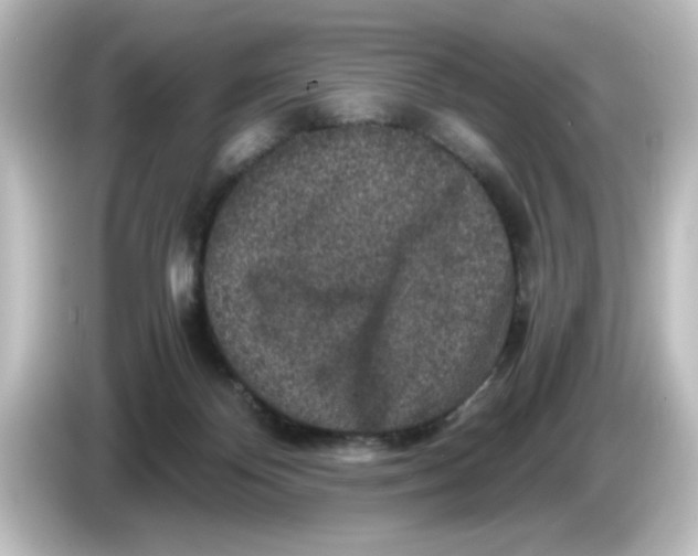 X0000084570124200703161729