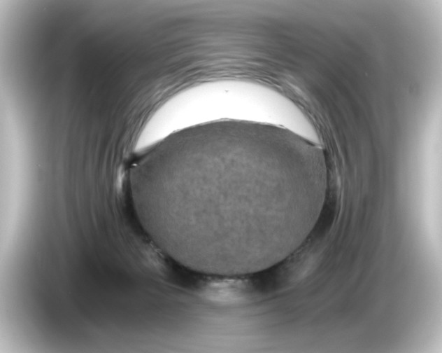 X0000084570125200703161729