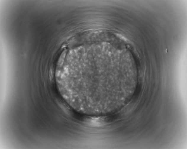 X0000084570130200703161729