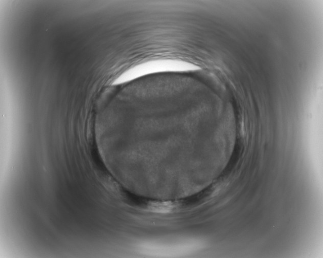 X0000084570131200703161729
