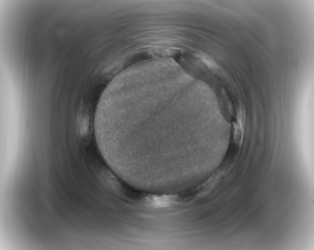 X0000084570134200703161729