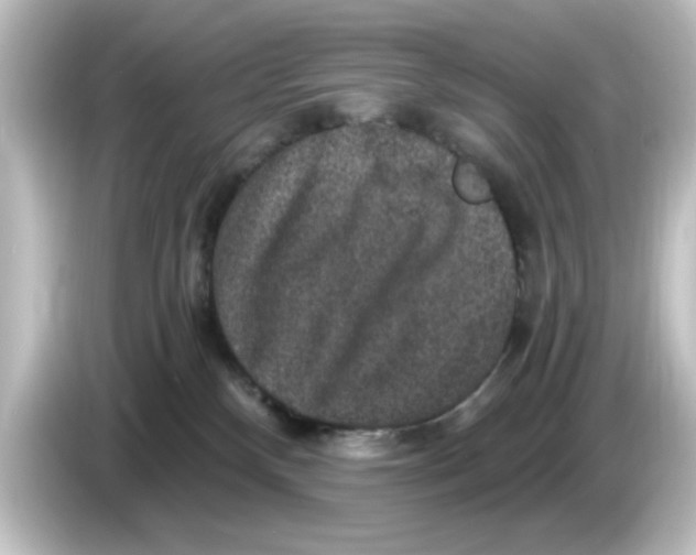 X0000084570136200703161729