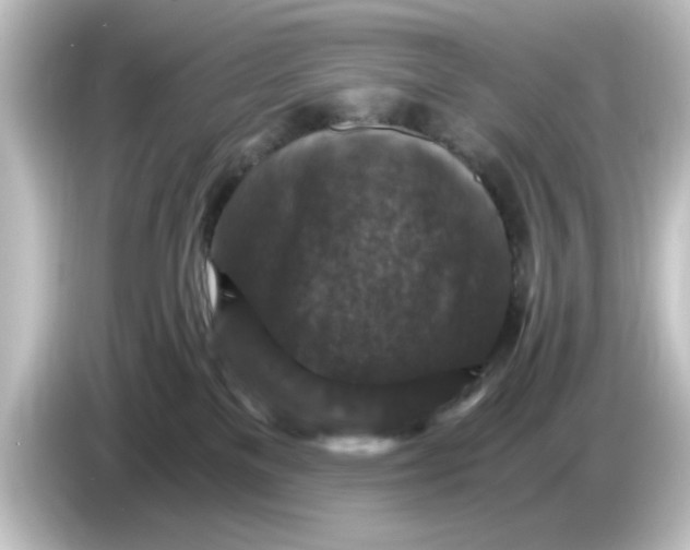 X0000084570137200703161729