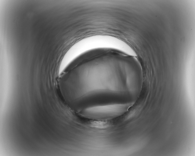 X0000084570139200703161729