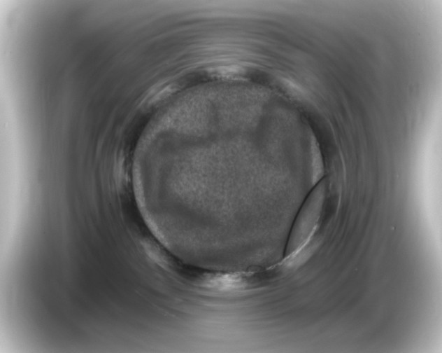 X0000084570140200703161729