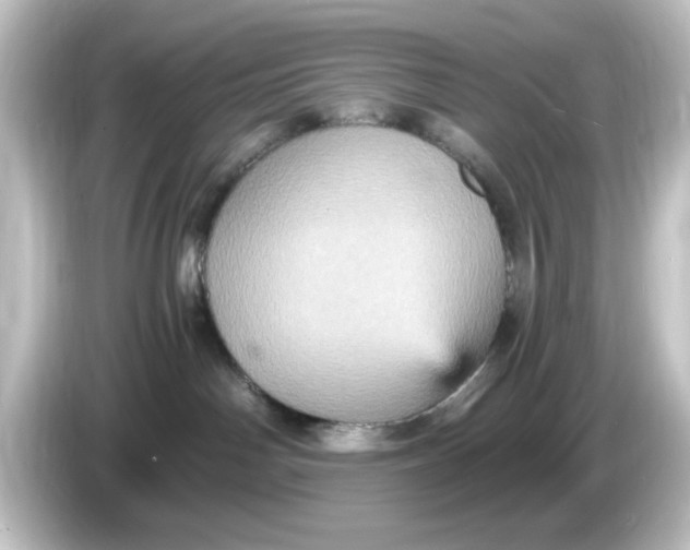 X0000084570142200703161729