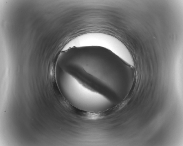 X0000084570143200703161729