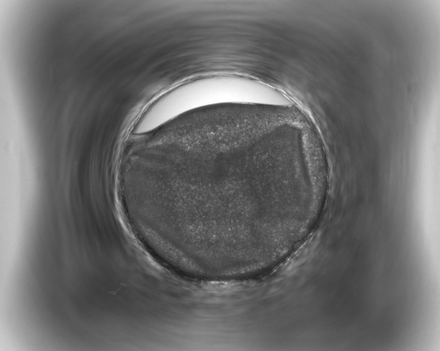 X0000084570145200703161729