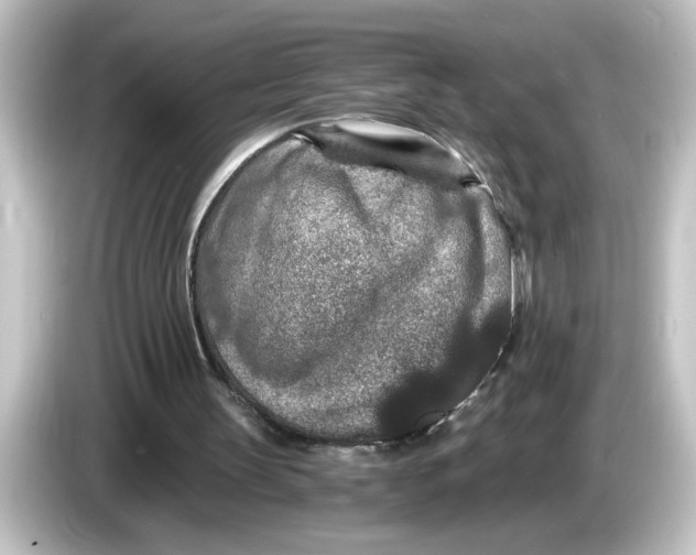 X0000084570147200703161729