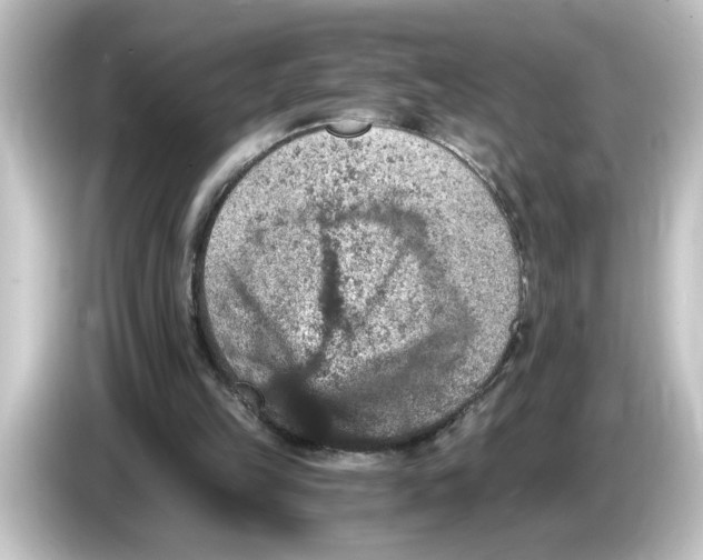 X0000084570149200703161729