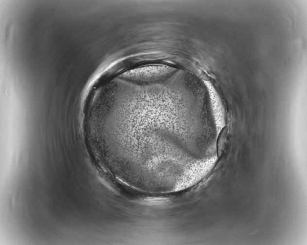 X0000084570150200703161729