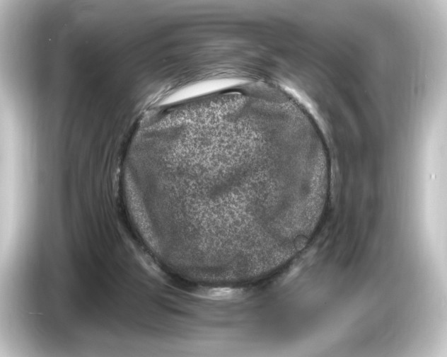 X0000084570153200703161729