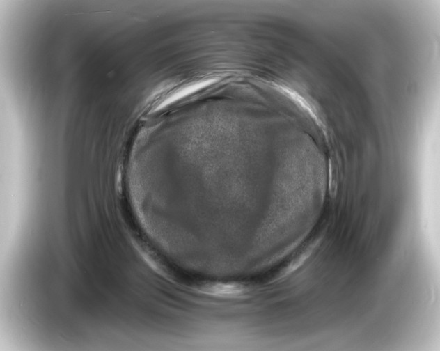 X0000084570157200703161729