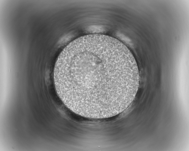 X0000084570162200703161729