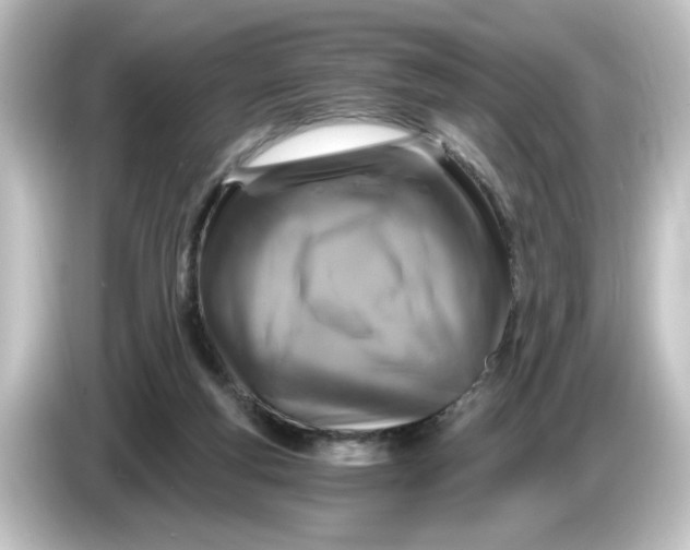 X0000084570163200703161729