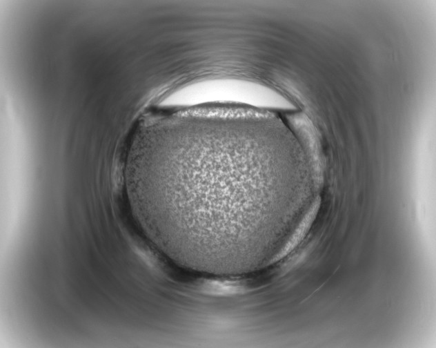X0000084570164200703161729