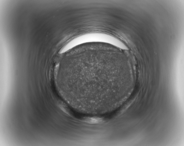 X0000084570165200703161729