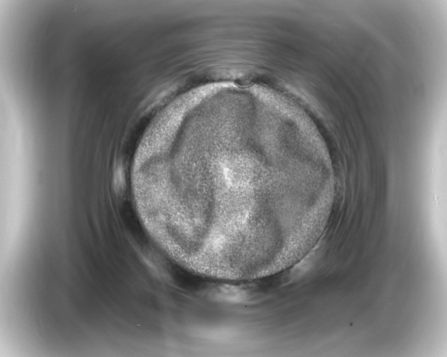X0000084570166200703161729