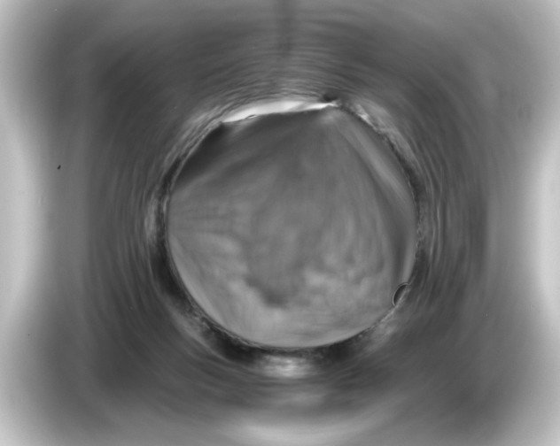 X0000084570167200703161729