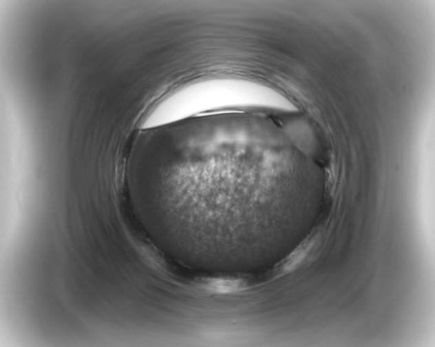 X0000084570168200703161729