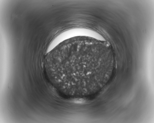 X0000084570169200703161729