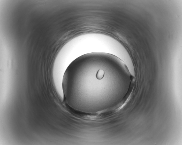 X0000084570170200703161729