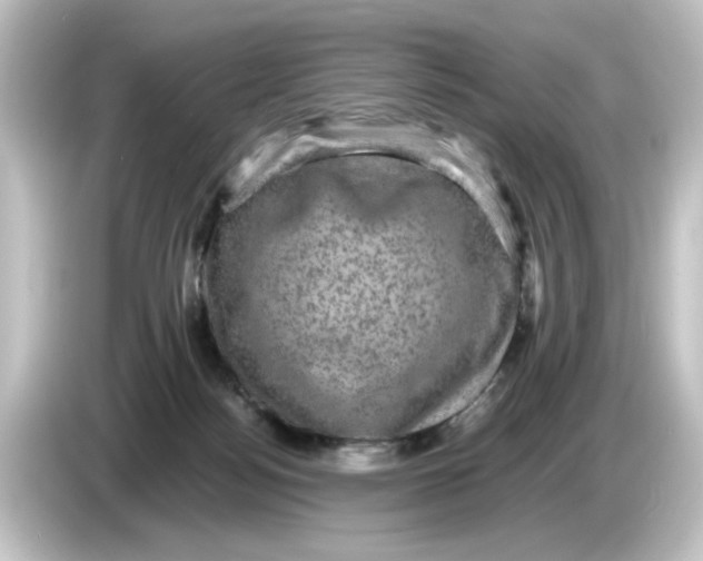 X0000084570172200703161729
