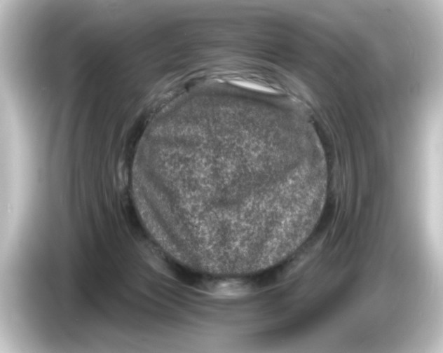 X0000084570173200703161729