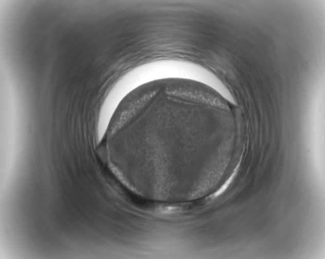 X0000084570174200703161729