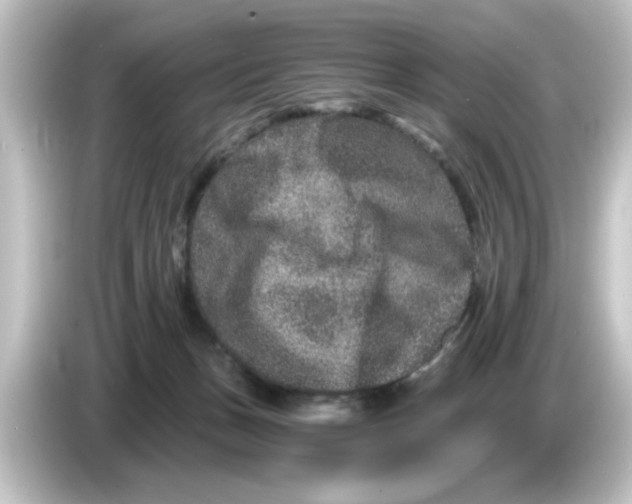 X0000084570175200703161729