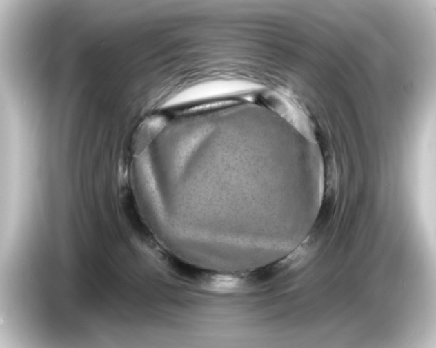 X0000084570176200703161729