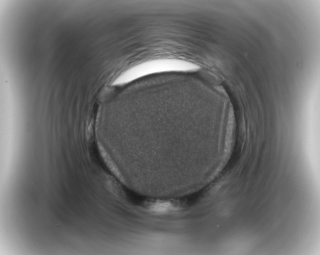 X0000084570177200703161729