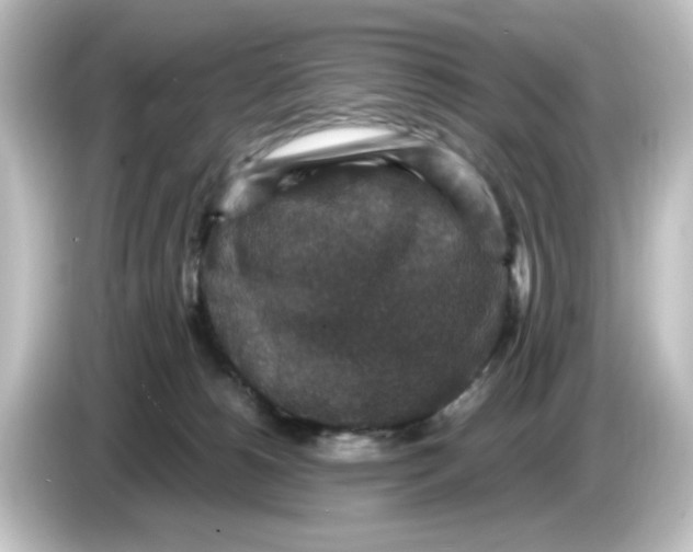X0000084570180200703161729