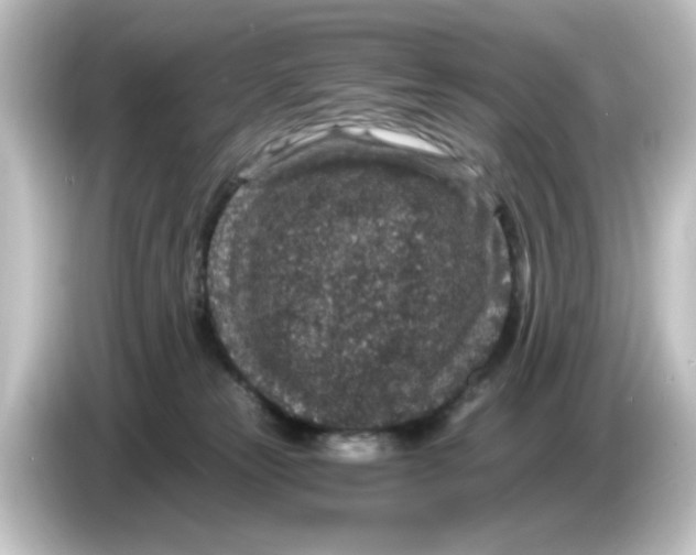 X0000084570181200703161729