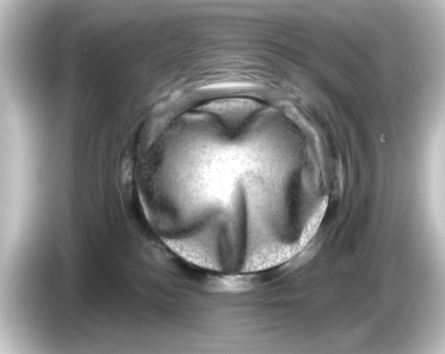 X0000084570184200703161729