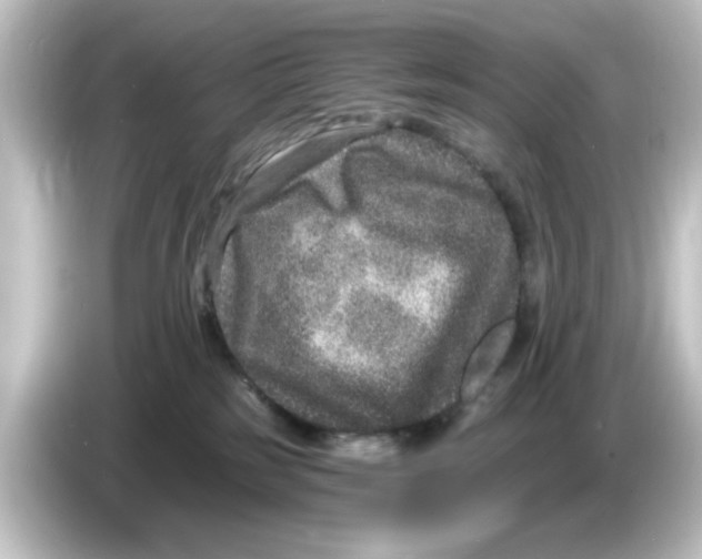 X0000084570185200703161729