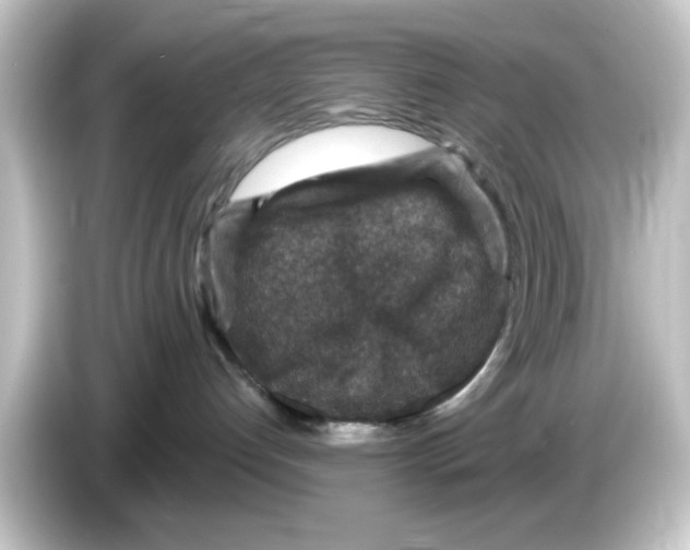 X0000084570192200703161729