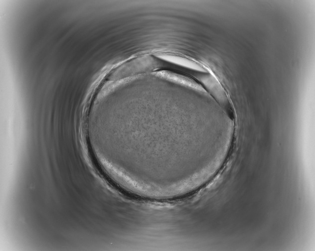 X0000084570193200703161729