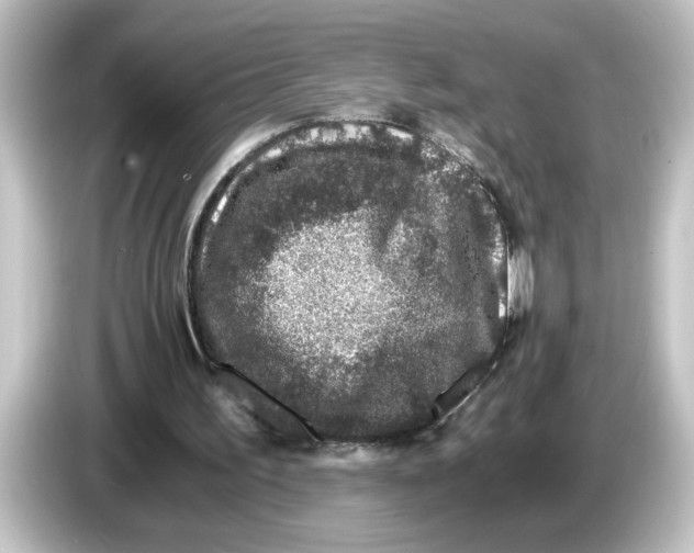 X0000084570195200703161729