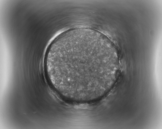 X0000084570196200703161729